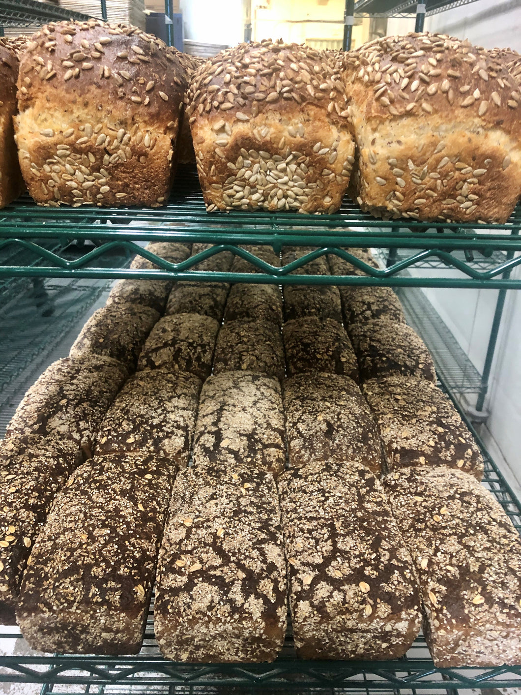 Daily Bread Bundle